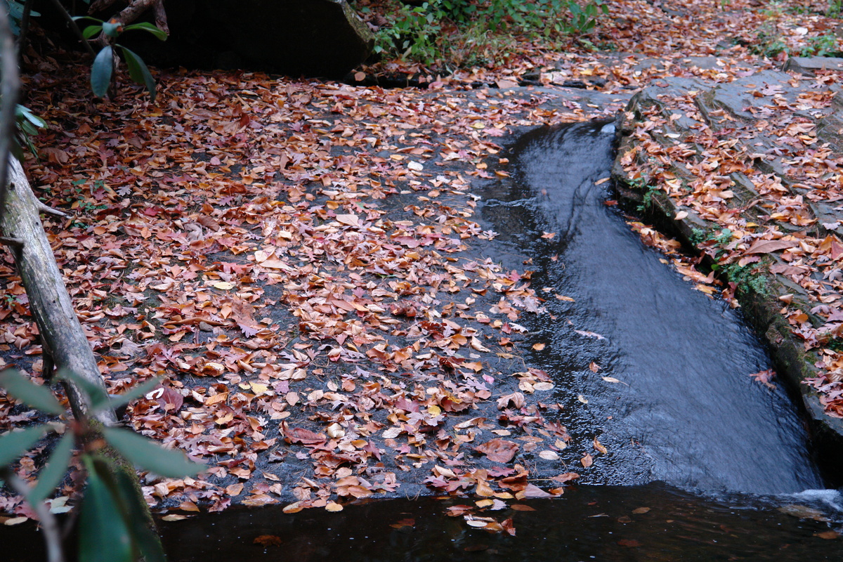 2007/10/Smokies/AbramsFalls/DSC07995