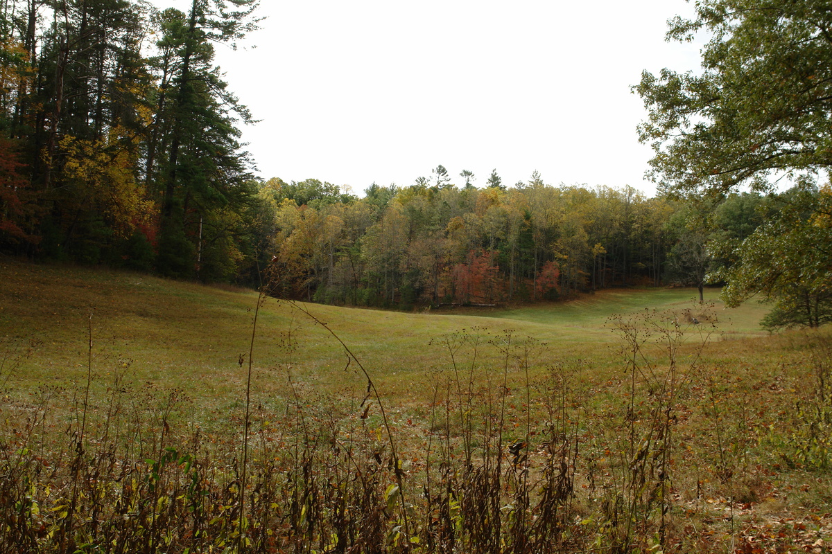 2007/10/Smokies/Cades Cove/DSC07780