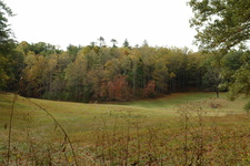 2007/10/Smokies/Cades Cove/DSC07781