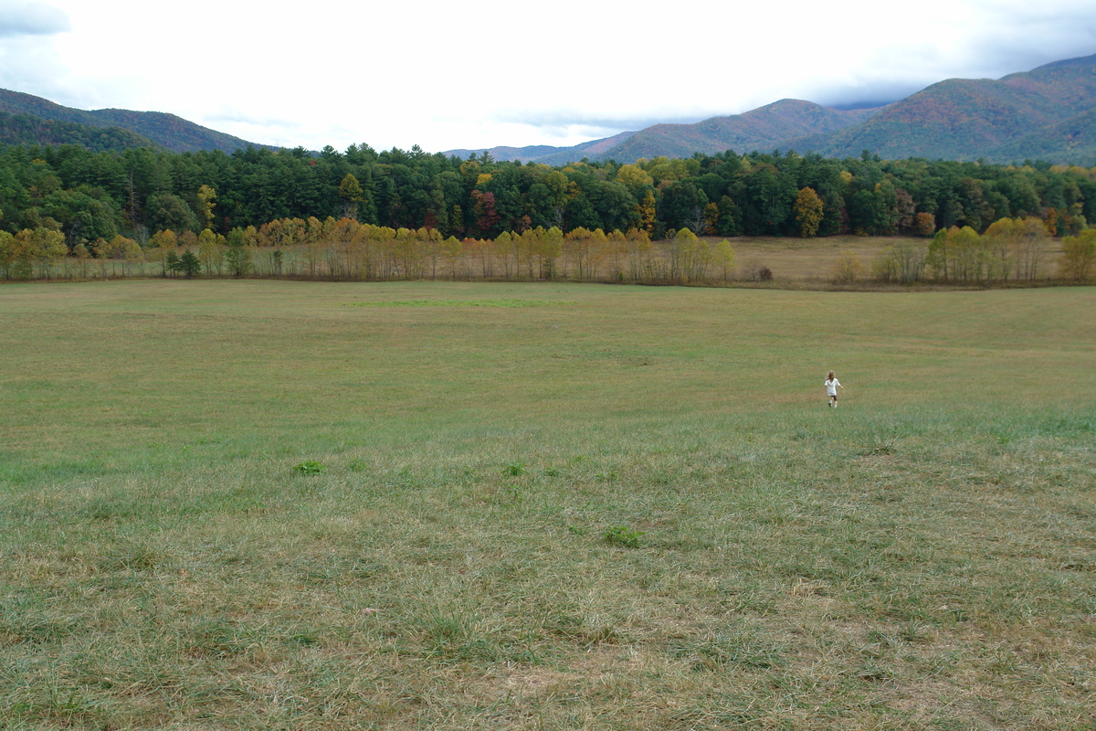 2007/10/Smokies/Cades Cove/DSC07808