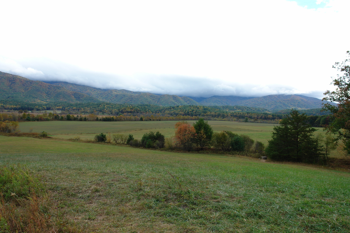 2007/10/Smokies/Cades Cove/DSC07817