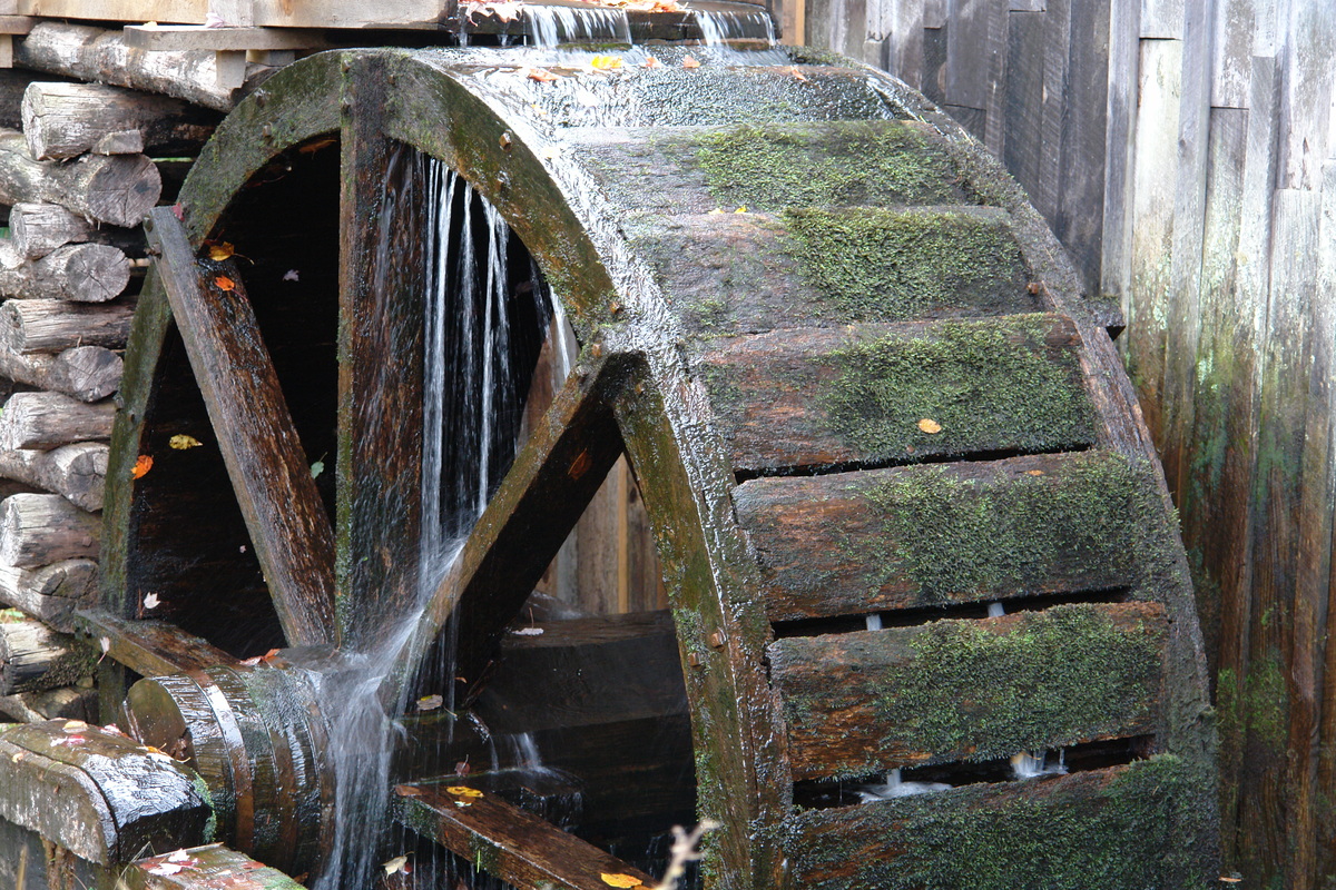 2007/10/Smokies/Cades Cove/DSC07880