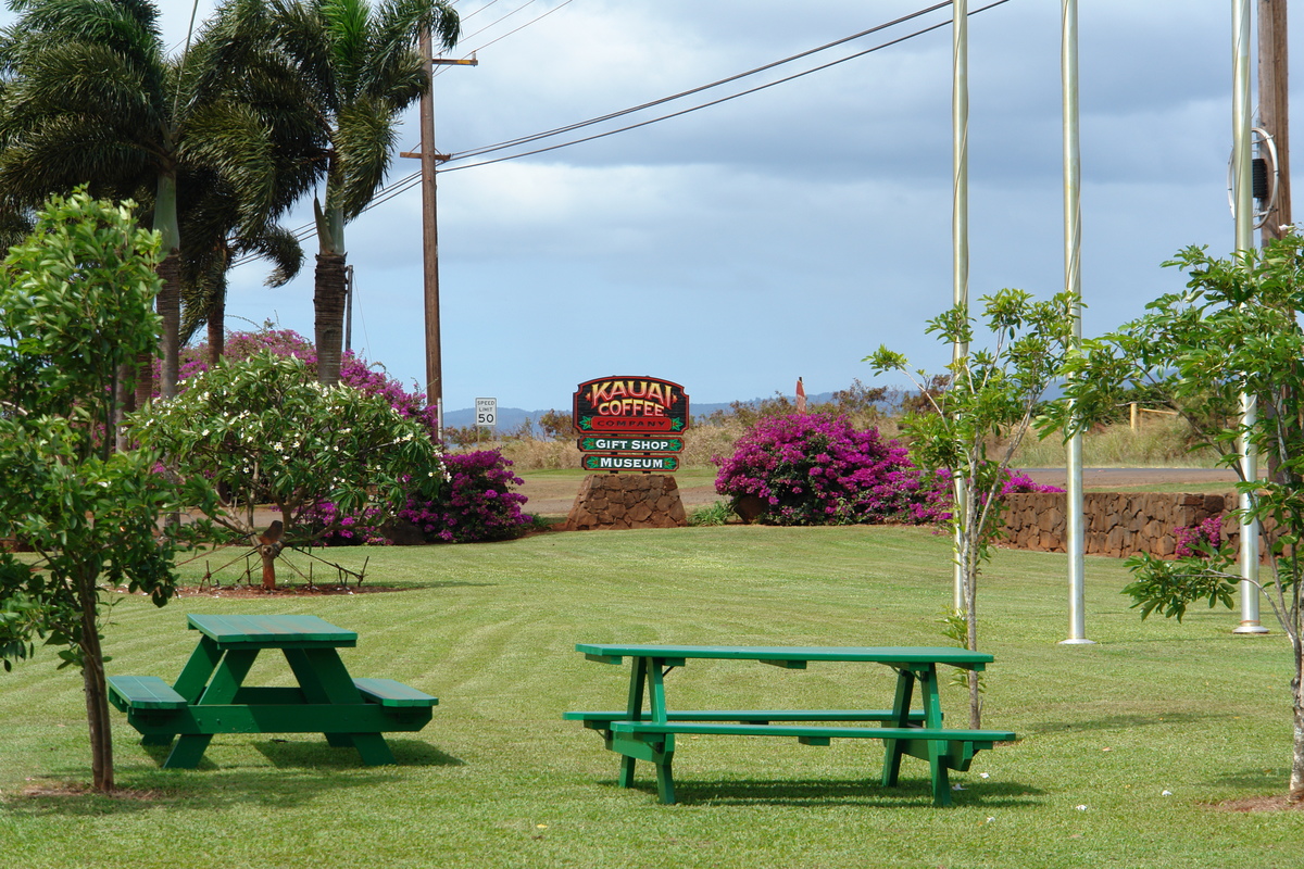 2008/10/Hawaii/Kauai/Coffee/DSC10049