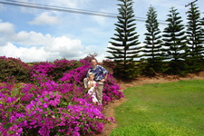 2008/10/Hawaii/Kauai/Coffee/DSC10059