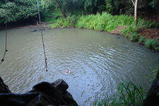 2008/10/Hawaii/Kauai/KipuFalls/DSC10102