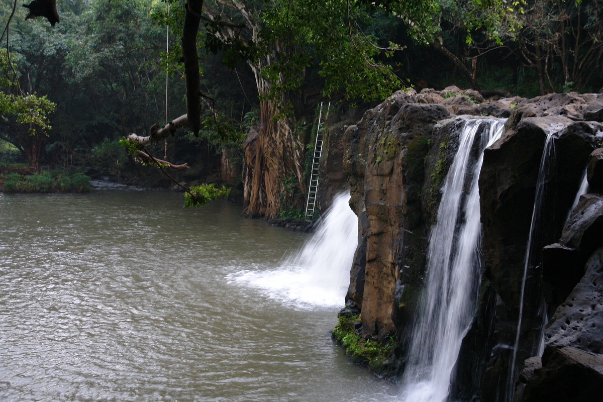 2008/10/Hawaii/Kauai/KipuFalls/DSC10120