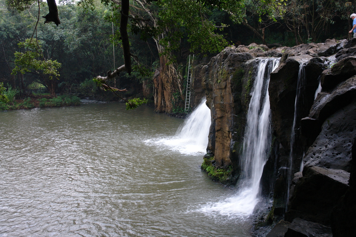 2008/10/Hawaii/Kauai/KipuFalls/DSC10121