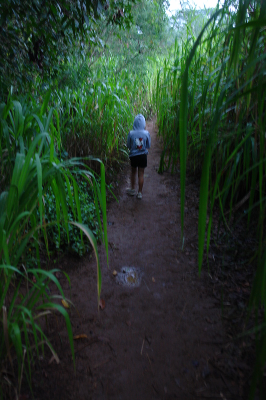 2008/10/Hawaii/Kauai/KipuFalls/DSC10133