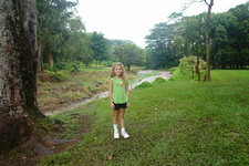 2008/10/Hawaii/Kauai/OpaekaaFalls/DSC10031