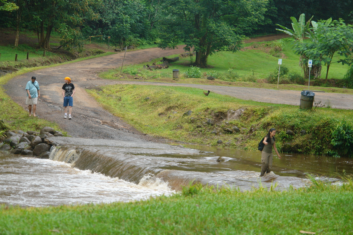 2008/10/Hawaii/Kauai/OpaekaaFalls/DSC10039