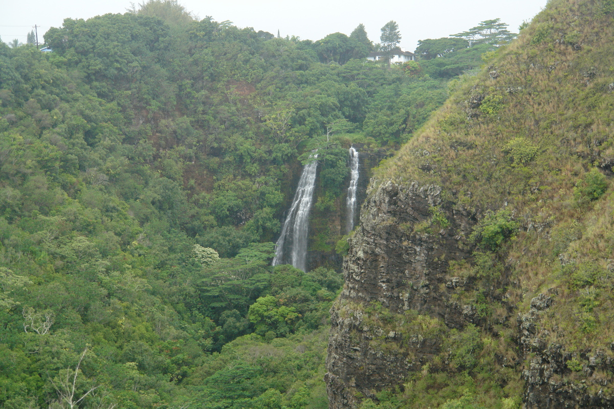 2008/10/Hawaii/Kauai/OpaekaaFalls/DSC10041