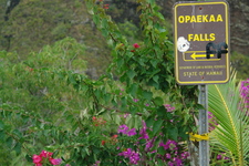 2008/10/Hawaii/Kauai/OpaekaaFalls/DSC10043