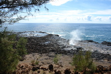 2008/10/Hawaii/Kauai/SpoutingHorn/DSC10012