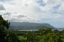 2008/10/Hawaii/Kauai/ToNorthSide/DSC09946