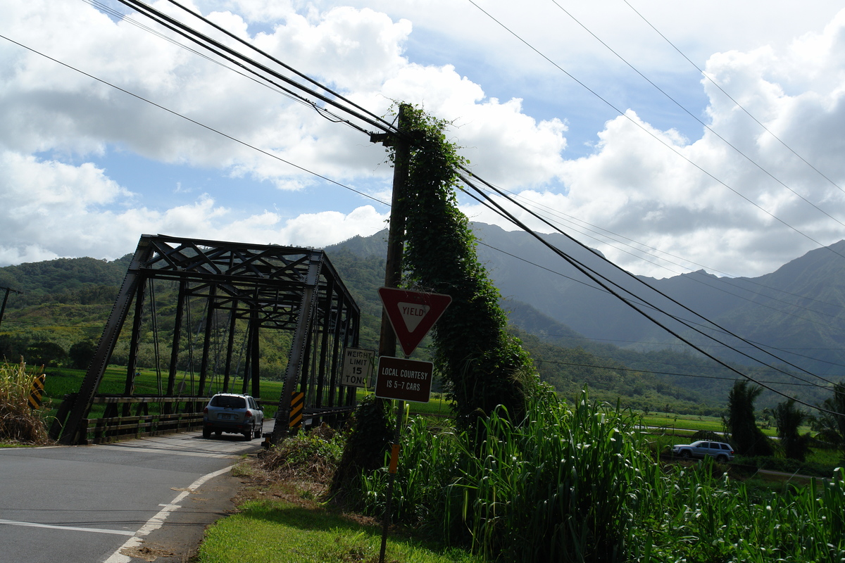 2008/10/Hawaii/Kauai/ToNorthSide/DSC09947