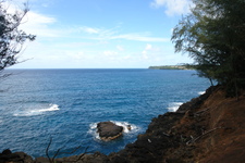 2008/10/Hawaii/Kauai/ToNorthSide/DSC09949