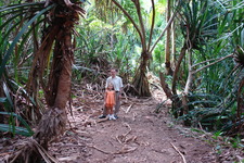 2008/10/Hawaii/Kauai/ToNorthSide/DSC09953