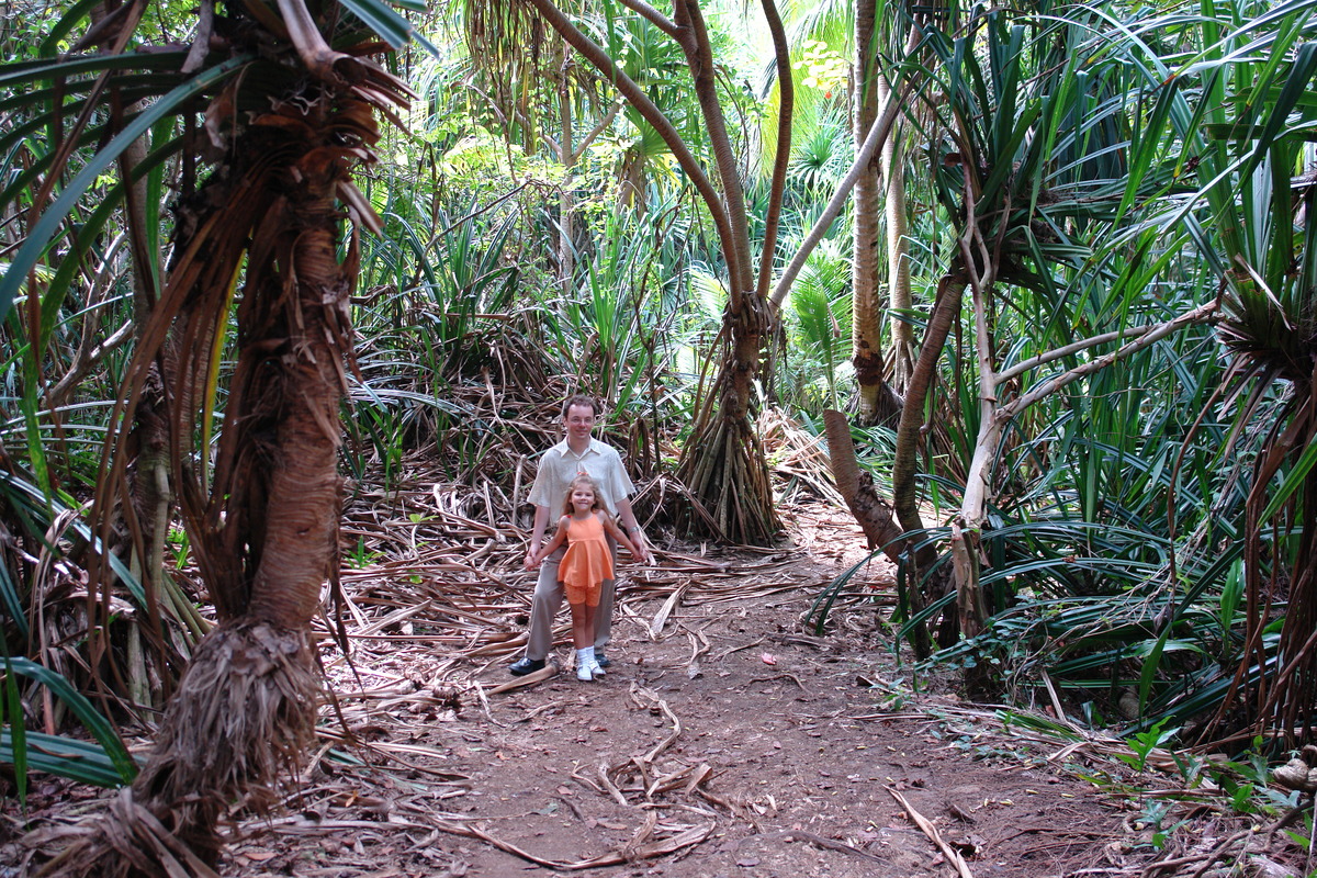 2008/10/Hawaii/Kauai/ToNorthSide/DSC09954