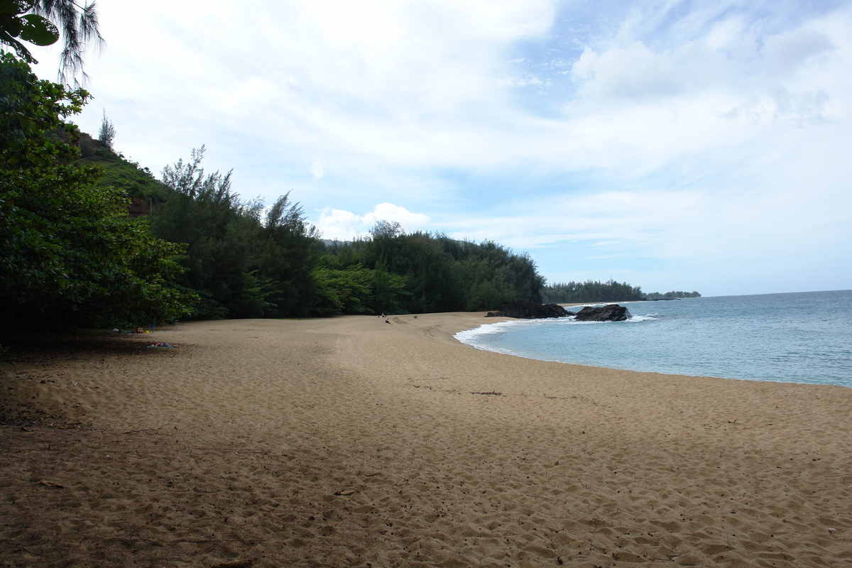 2008/10/Hawaii/Kauai/ToNorthSide/DSC09962