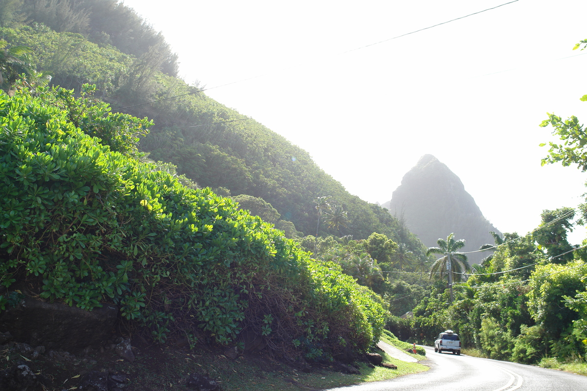 2008/10/Hawaii/Kauai/ToNorthSide/DSC09996