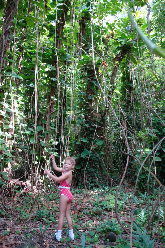 2008/10/Hawaii/Kauai/ToNorthSide/DSC10006