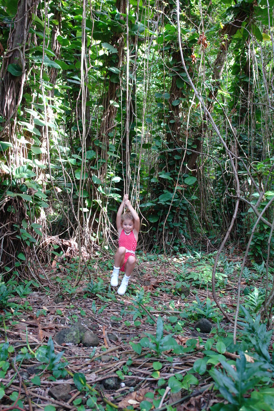 2008/10/Hawaii/Kauai/ToNorthSide/DSC10008