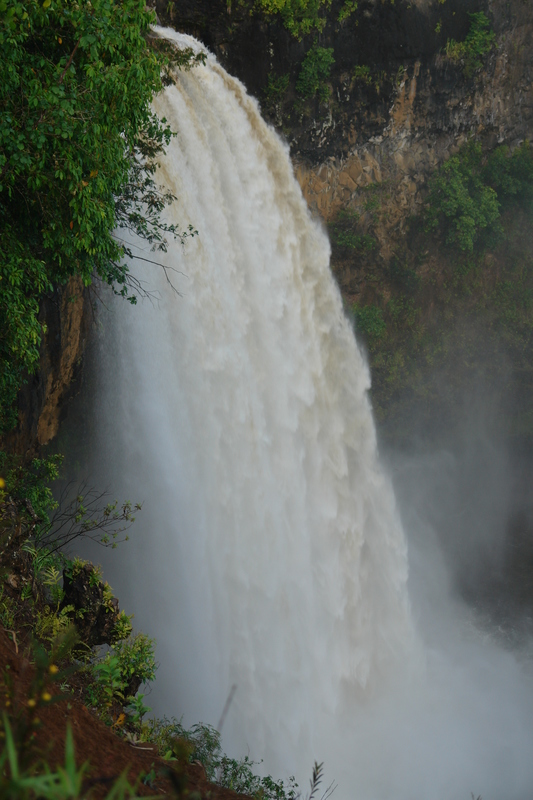 2008/10/Hawaii/Kauai/WailuaFalls/DSC10049