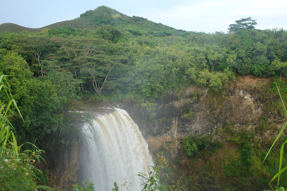 2008/10/Hawaii/Kauai/WailuaFalls/DSC10054