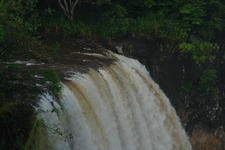 2008/10/Hawaii/Kauai/WailuaFalls/DSC10057