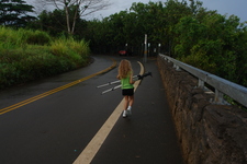 2008/10/Hawaii/Kauai/WailuaFalls/DSC10058