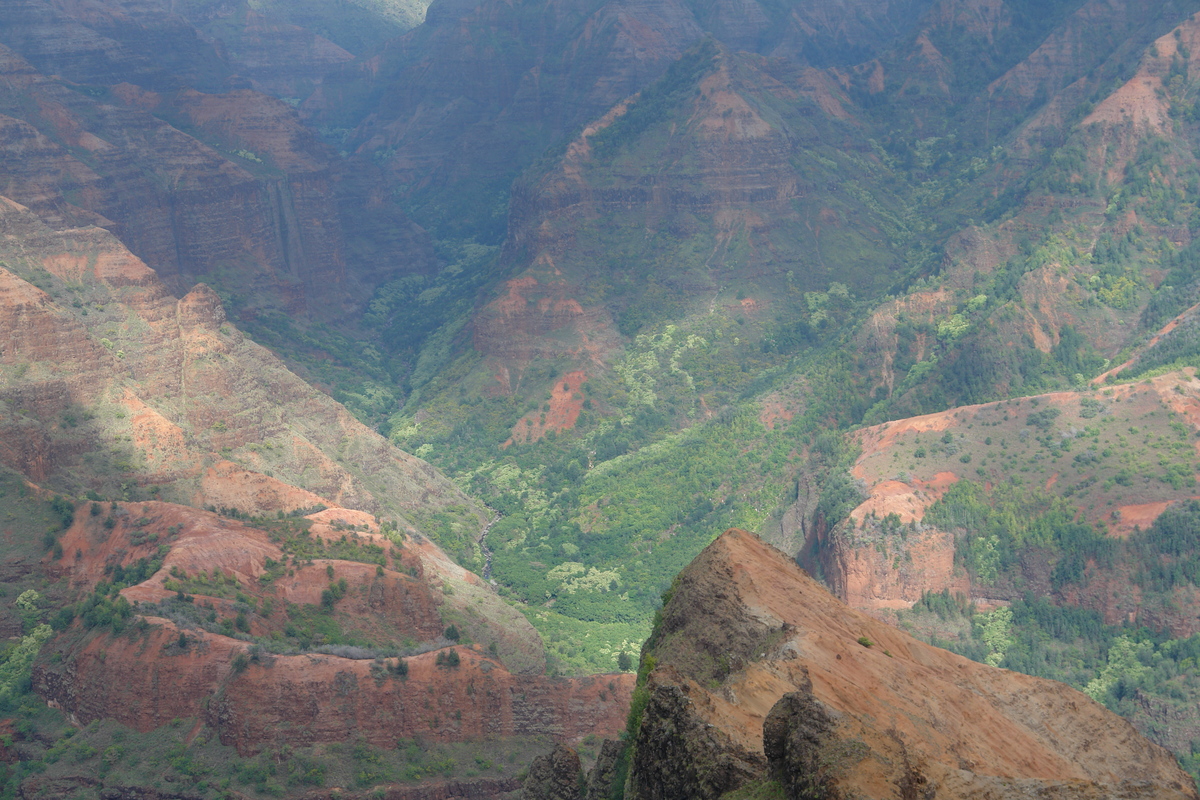 2008/10/Hawaii/Kauai/WaimeaCanyon/Lookout1/DSC10099