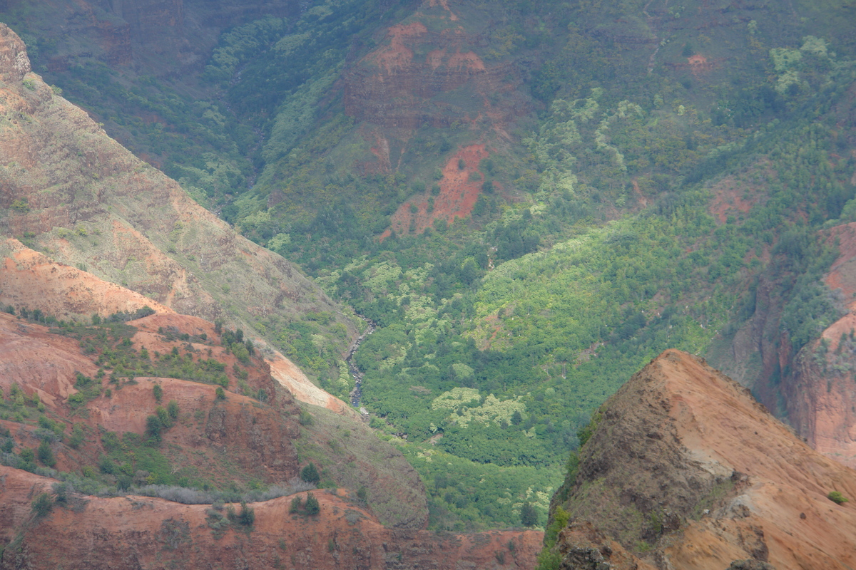 2008/10/Hawaii/Kauai/WaimeaCanyon/Lookout1/DSC10107