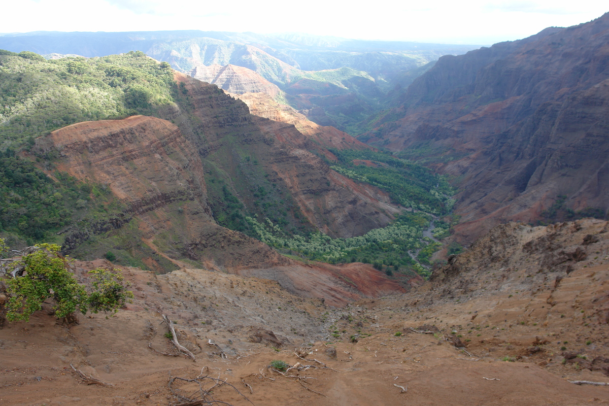 2008/10/Hawaii/Kauai/WaimeaCanyon/Lookout3-PuuHinahina/DSC10135