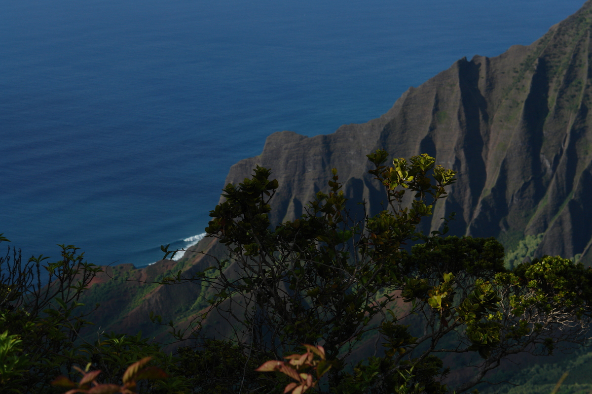 2008/10/Hawaii/Kauai/WaimeaCanyon/Lookout5/DSC10143