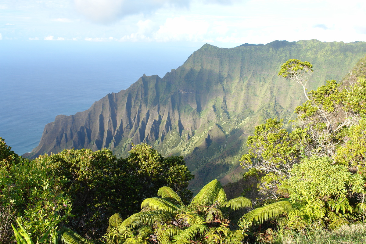 2008/10/Hawaii/Kauai/WaimeaCanyon/Lookout5/DSC10159