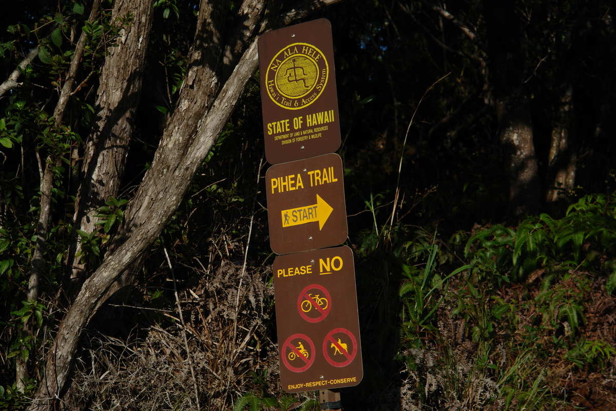 2008/10/Hawaii/Kauai/WaimeaCanyon/Lookout6/DSC10165