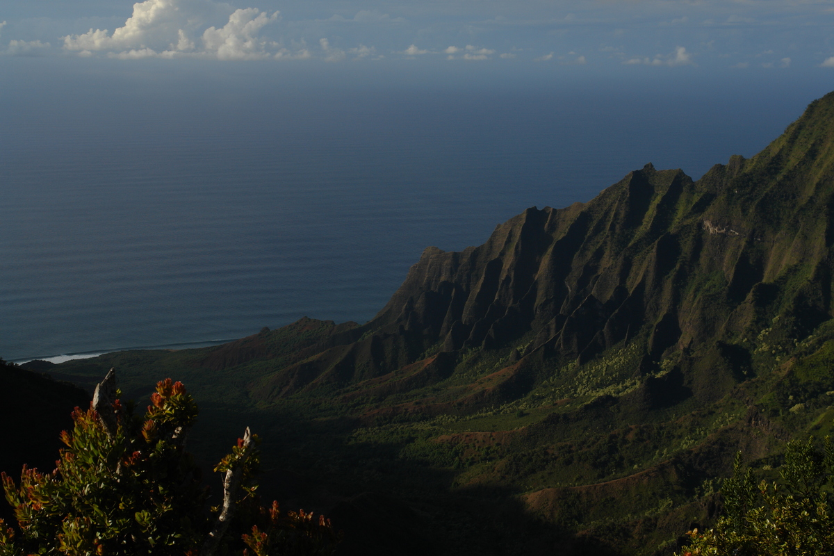 2008/10/Hawaii/Kauai/WaimeaCanyon/Lookout6/DSC10167