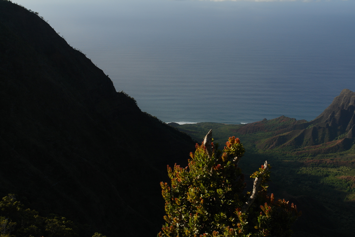 2008/10/Hawaii/Kauai/WaimeaCanyon/Lookout6/DSC10168