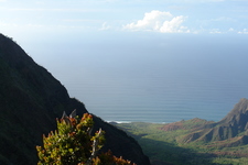 2008/10/Hawaii/Kauai/WaimeaCanyon/Lookout6/DSC10174