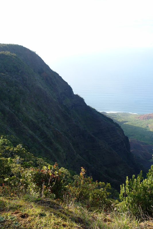 2008/10/Hawaii/Kauai/WaimeaCanyon/Lookout6/DSC10177