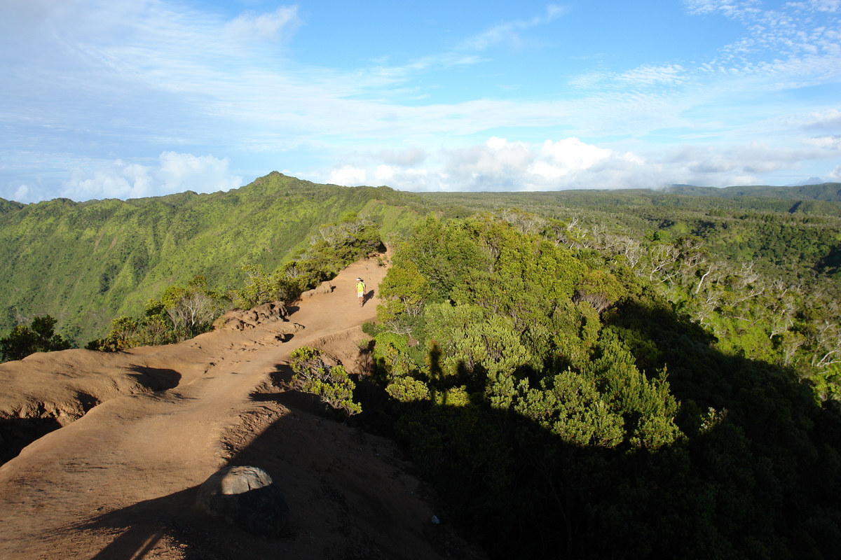 2008/10/Hawaii/Kauai/WaimeaCanyon/Lookout6/DSC10184