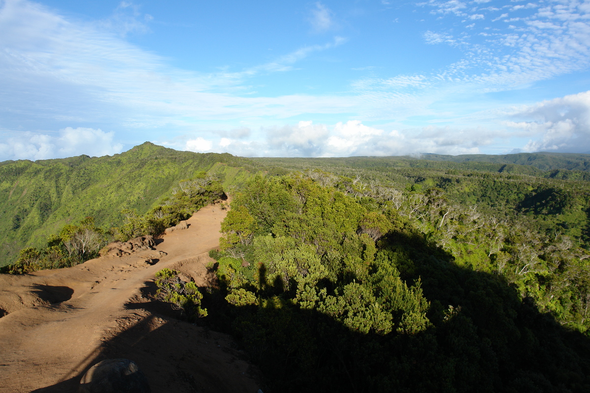 2008/10/Hawaii/Kauai/WaimeaCanyon/Lookout6/DSC10186