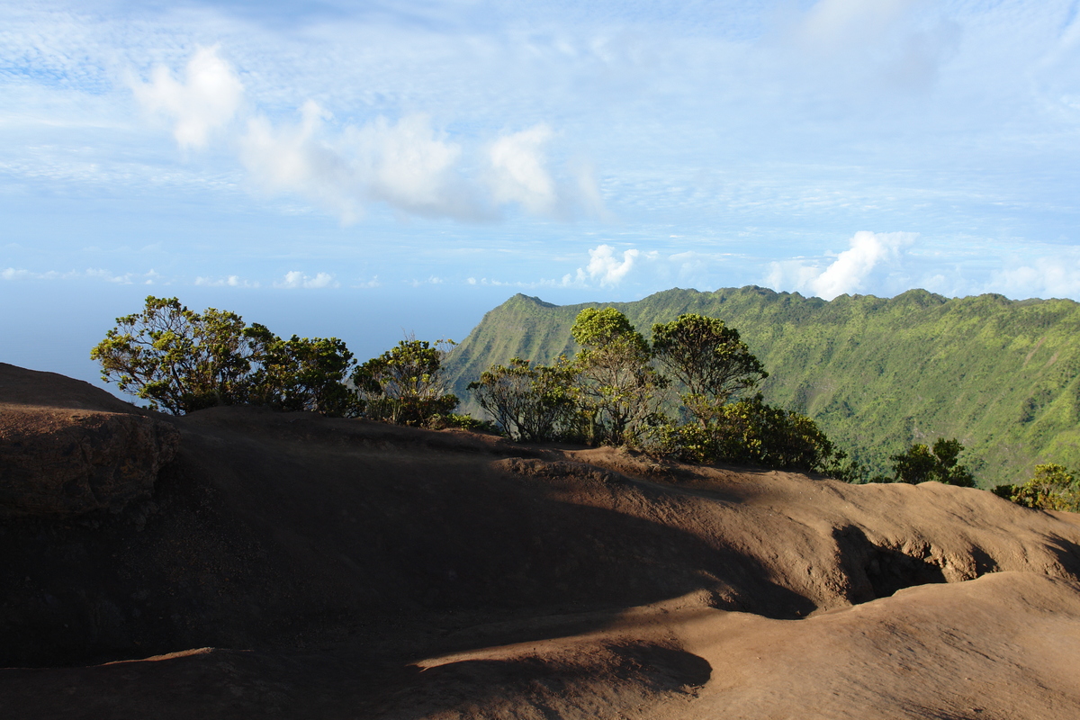 2008/10/Hawaii/Kauai/WaimeaCanyon/Lookout6/DSC10188