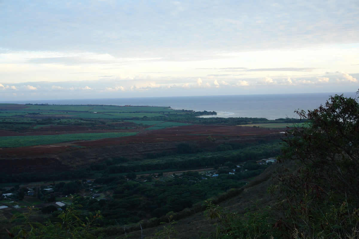 2008/10/Hawaii/Kauai/WaimeaCanyon/RoadFromWaimeaCanyon/DSC10208