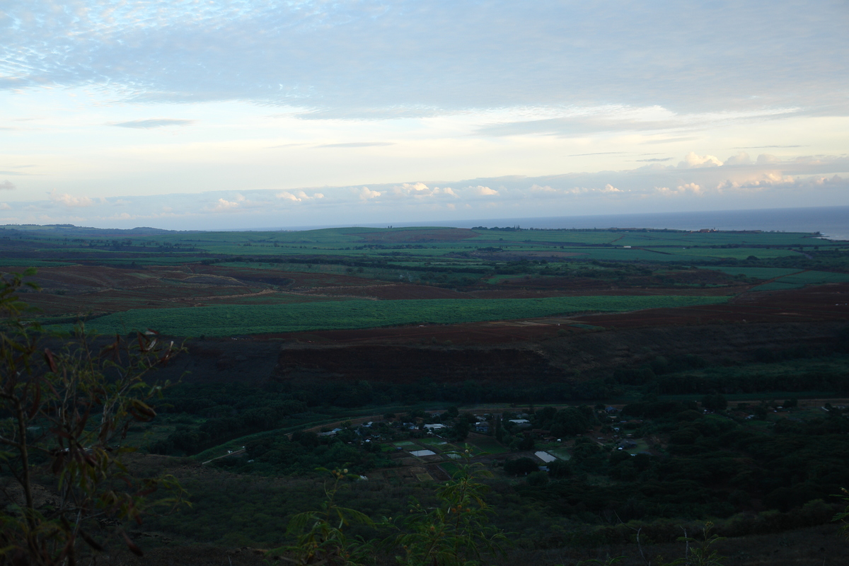 2008/10/Hawaii/Kauai/WaimeaCanyon/RoadFromWaimeaCanyon/DSC10209