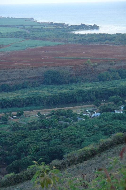 2008/10/Hawaii/Kauai/WaimeaCanyon/RoadFromWaimeaCanyon/DSC10211