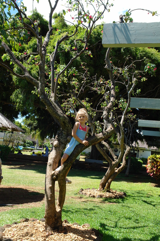 2008/10/Hawaii/Kauai/DSC09931