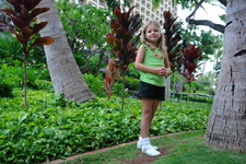 2008/10/Hawaii/Oahu/Hilton/DSC10197