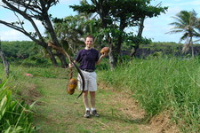 2008/10/Hawaii/Maui/RoadToHana/4-BlackSandBeach/Coconuts/DSC09789