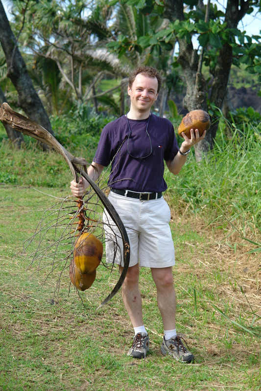 2008/10/Hawaii/Maui/RoadToHana/4-BlackSandBeach/Coconuts/DSC09790